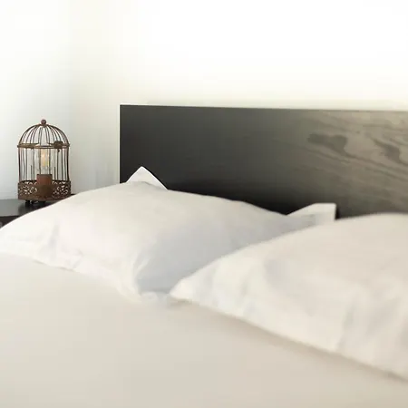 Bird Nest 2 Room Apartment-2