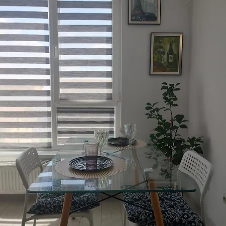 Luxury Modern Free Parking Air Conditioning Netflix Superb Bright View Balcony Self Check In Militari-3
