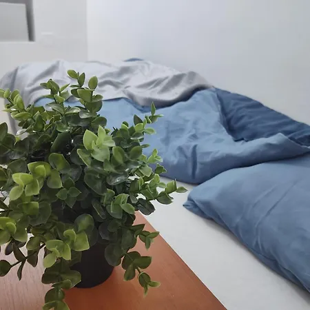 Old Town Bucharest- Shared Apartment-2