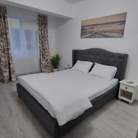Cozy Apartment Pallady-3