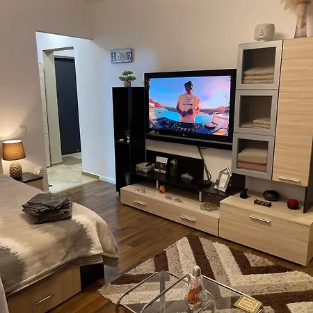 Studio cozy - Calea Moșilor-2
