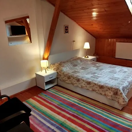 Central Victoriei Guesthouse-3