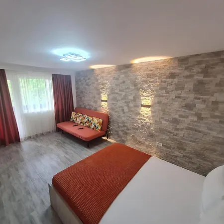 Apartament modern Metrou Titan - Miniș-2
