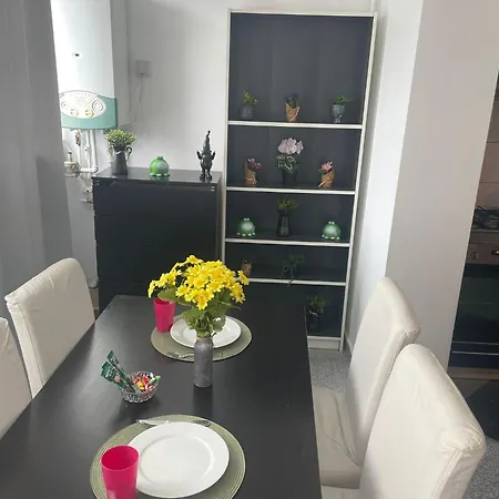 nice 1 bdrm apartment in center-2