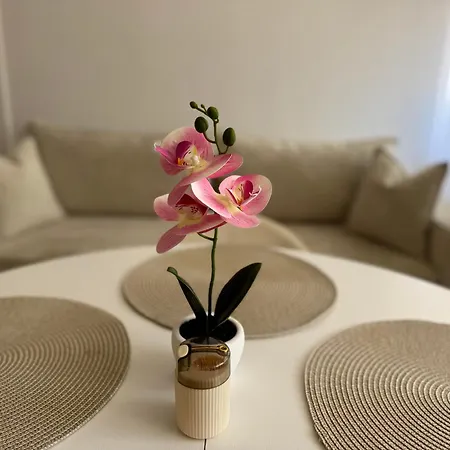 Orchid Apartment-3