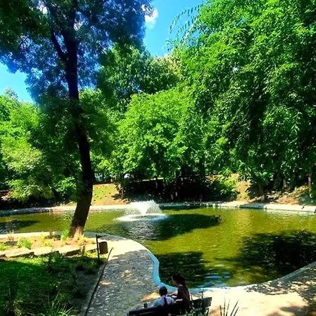 Kiseleff Park Studio-2
