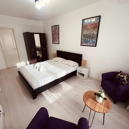 Calea Victoriei Chic Stay-3