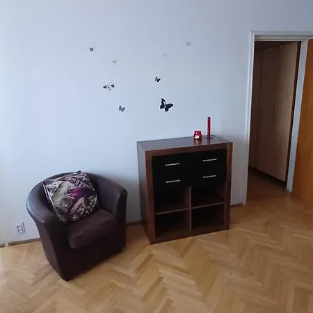 Cozy Place-3