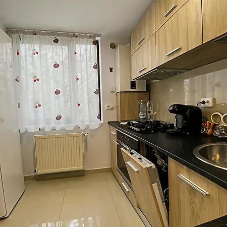 Musetesti Residential Modern Apartment North Bucharest-2
