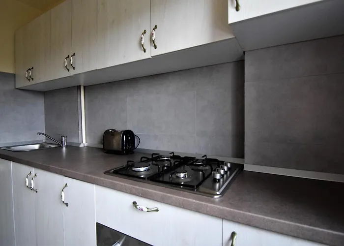 Gara De Nord - Resedinta Lui Calin Apartment Bucureşti