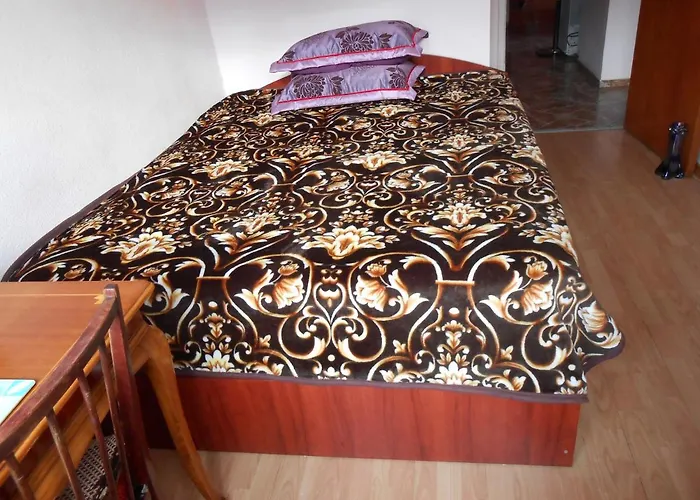Host Tina Apartment Bucureşti