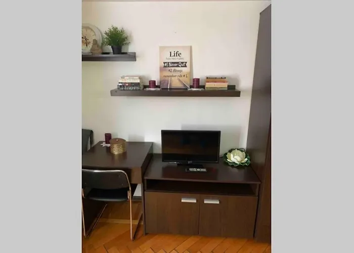 Cozy Studio In The Heart Of Bucureşti