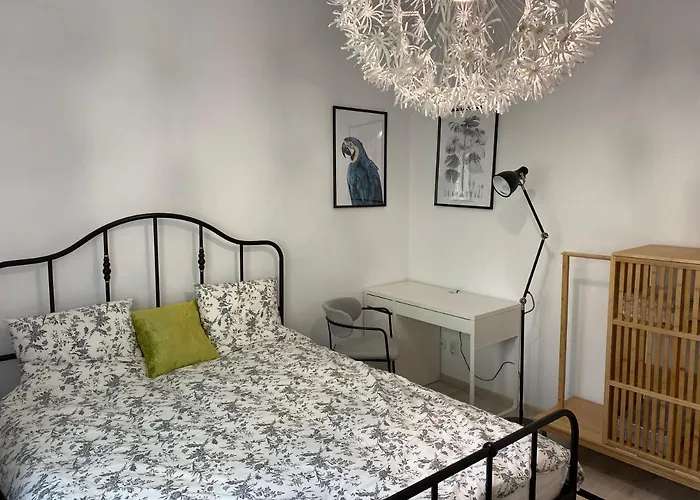 Studio Clucerului 8 Apartment Bucureşti