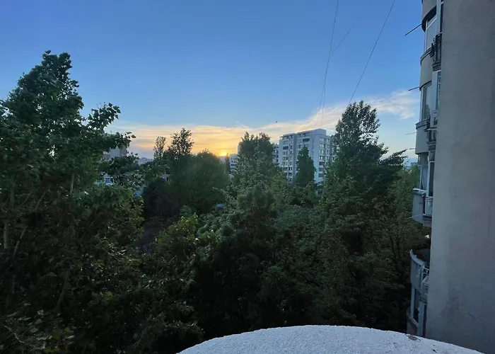 Premium JD Studio Bucureşti