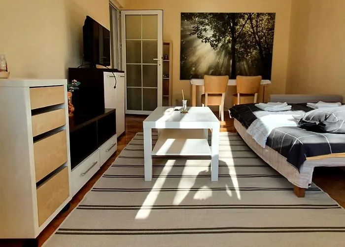 Between Parks - King Bed - Central - Football Field Bucureşti