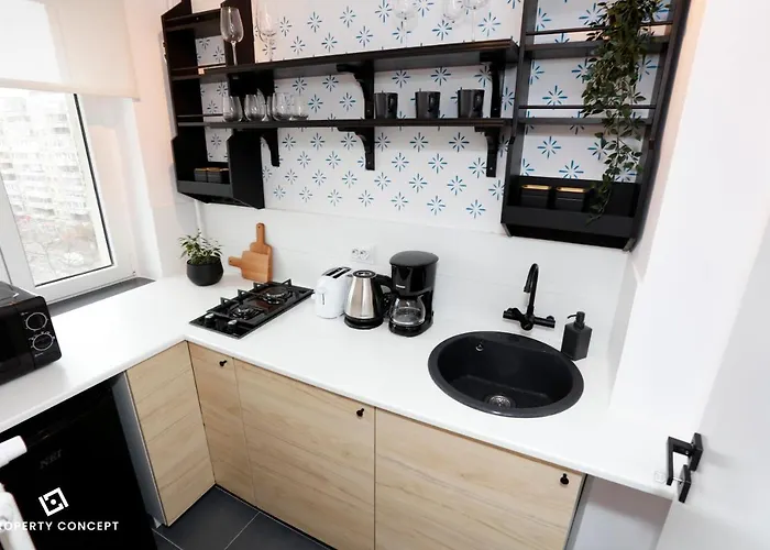 Chic Scandinavian Style Studio Apartment Bucureşti
