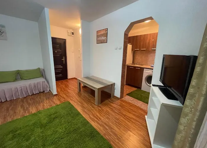 One Room Apartment Ptm Bucureşti