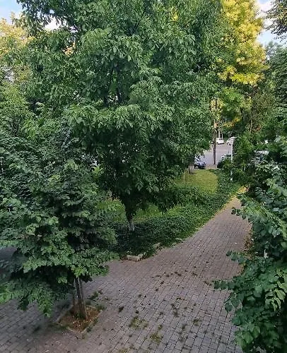 Loft Ferdinand Apartment Bucureşti