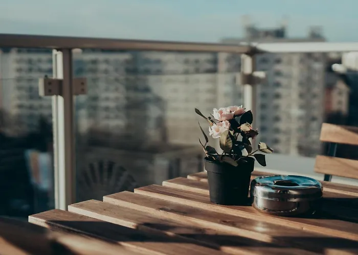 Shiro Havensuite Bucureşti