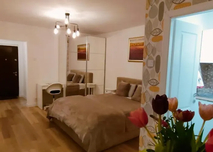 Studio Lotus Bucureşti