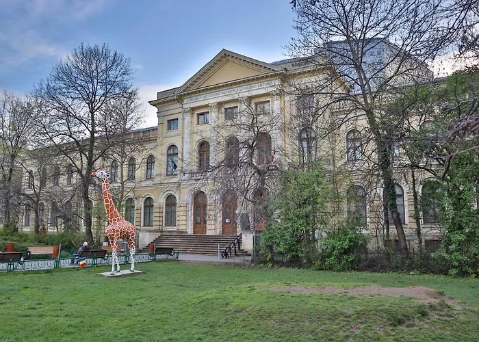 OAK Apartment - Piata Victoriei Bucureşti
