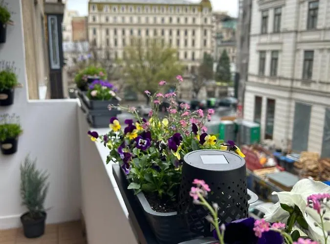 City View Bucureşti
