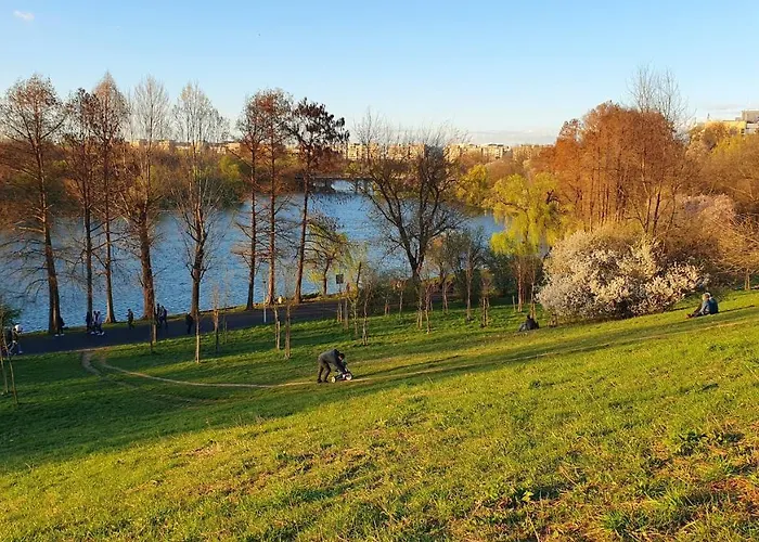 Studio Prisaca Dornei Bucureşti