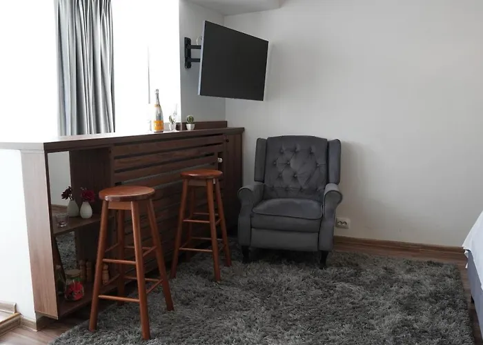 Luxury 1BR studio near Hanul Drumetului Bucureşti