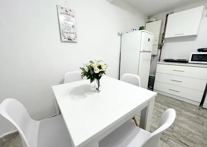 Temple 4 - Half Ground Level With Windows - Demisol Apartment Bucureşti