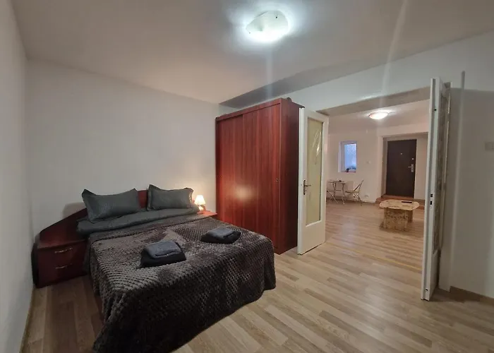 Ambient Cismigiu Apartment Bucureşti