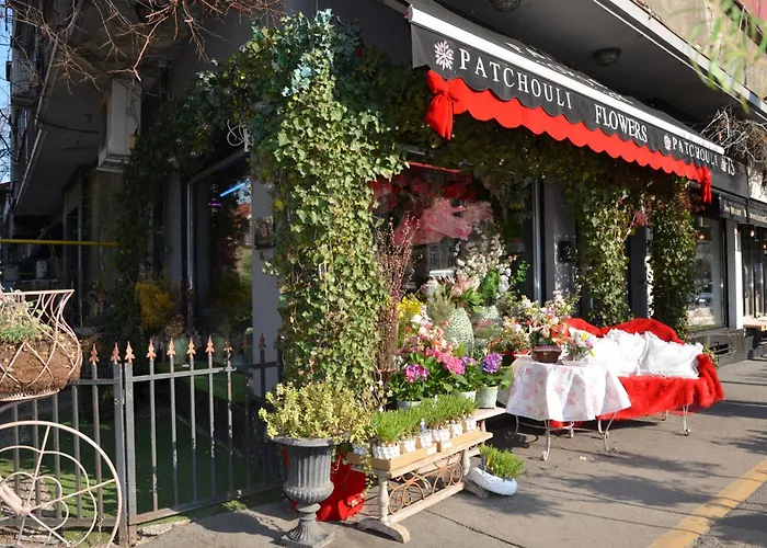 Studio D'Or Dorobanti Bucureşti