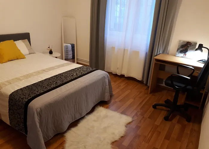 Sunny Cozy Apartament Floreasca Bucureşti