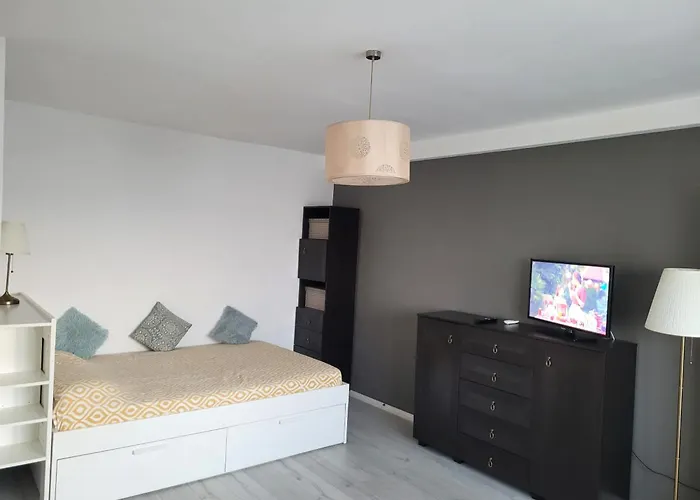 Superb 1Br Apartment With Air Conditioner Bucureşti