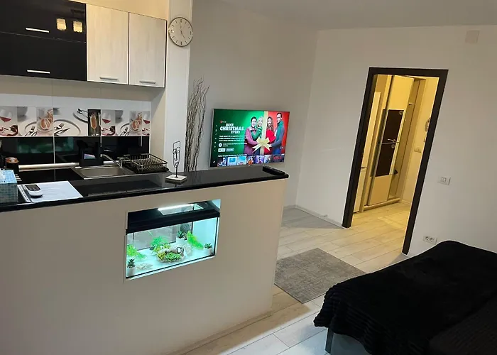 Fancy Studio Arena Nationala Bucureşti