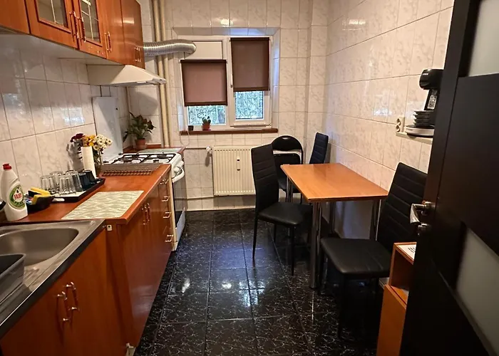 Cozy Flat Near The City Center Bucureşti