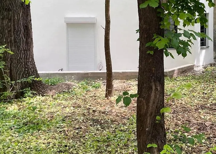 One Room Apartment Decebal Bucureşti