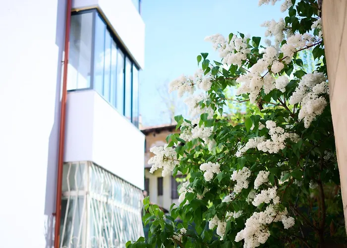 Old Town Retreat Studio 9 Bucureşti