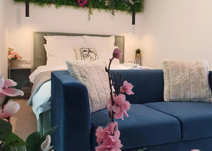 Premium Hils Brauner Studio Bucureşti