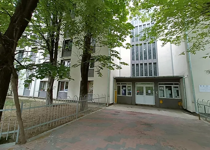Studio Grigorescu Bucureşti
