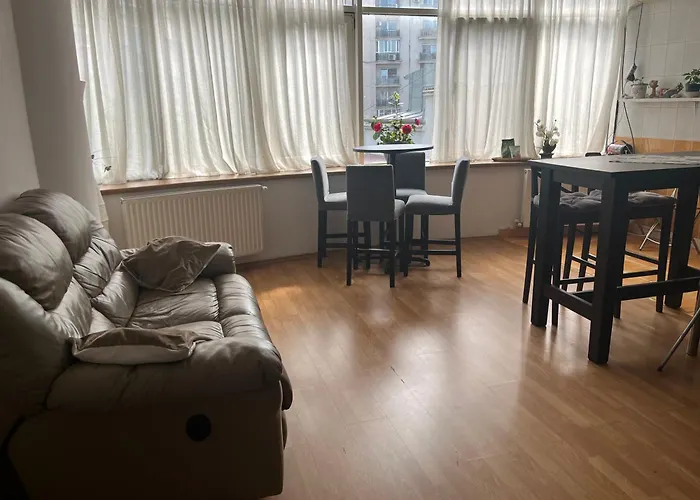 Apartament 1 plus rooms in centrul orașului - Unirii Fântânii Bucureşti