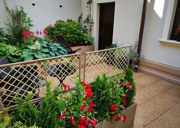 Cozy Green House Bucureşti