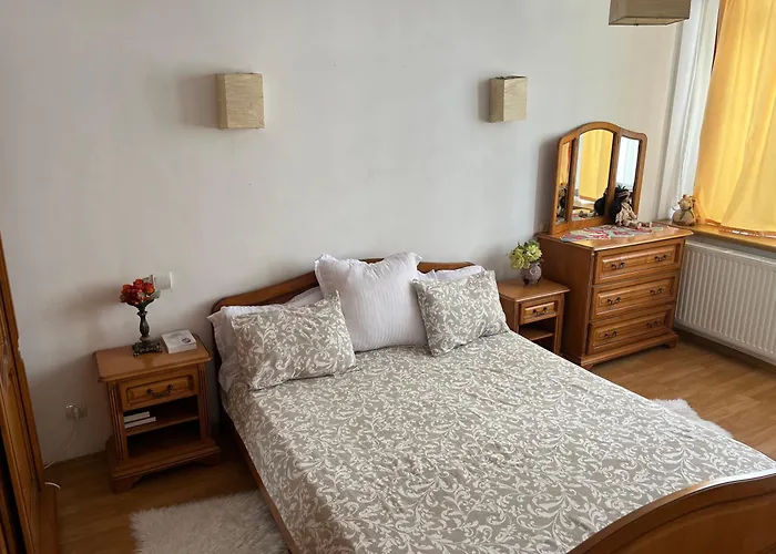 Apartament 1 plus rooms in centrul orașului - Unirii Fântânii Bucureşti