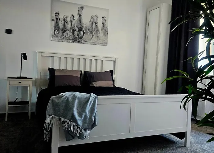 Home Studio Cismigiu Bucureşti