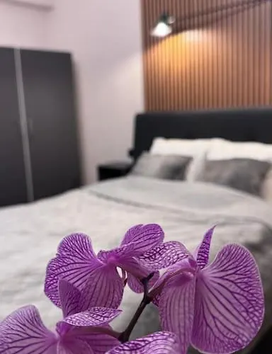 Comfort&Style - Calea Victoriei Bucureşti