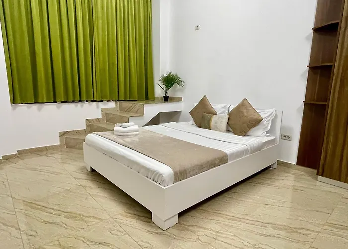 Central Adress Dd14 Bucureşti