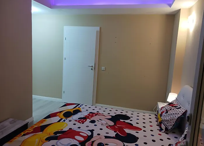 Myky Mouse nu primesc santieristi si petrecareti Apartment Bucureşti