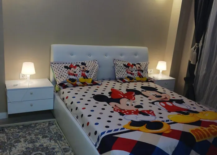 Myky Mouse nu primesc santieristi si petrecareti Apartment Bucureşti