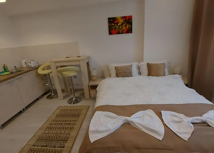 Teo Studio Rin Grand Residence Bucureşti