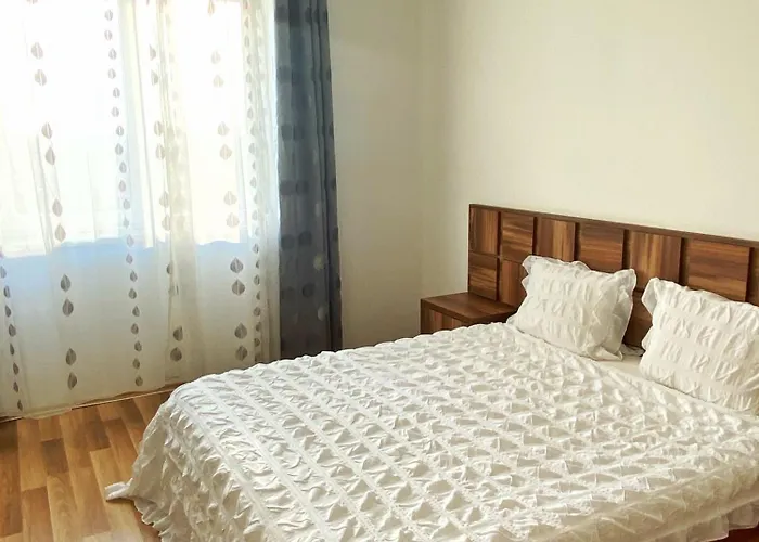Premier Flat With Parking Apartment Bucureşti