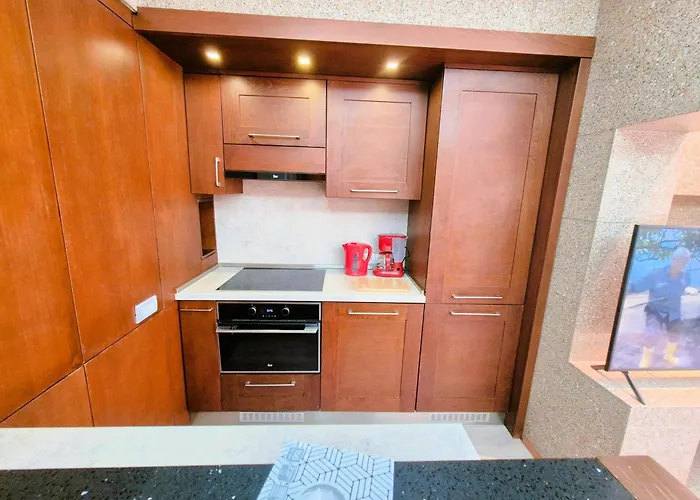 Central Urban Deluxe Loft Bucureşti